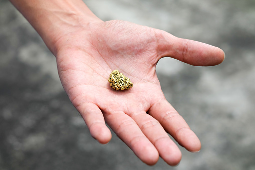 Gold has soared in value in 2025. Photo: Getty Images