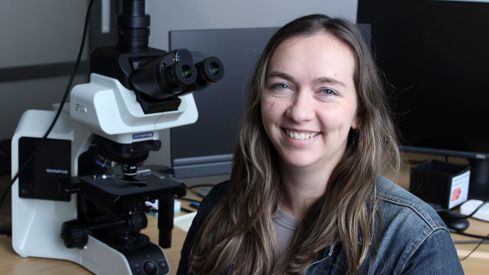 Dr Helen Murray hopes studying the effects of rams repeatedly butting heads will help to lessen...