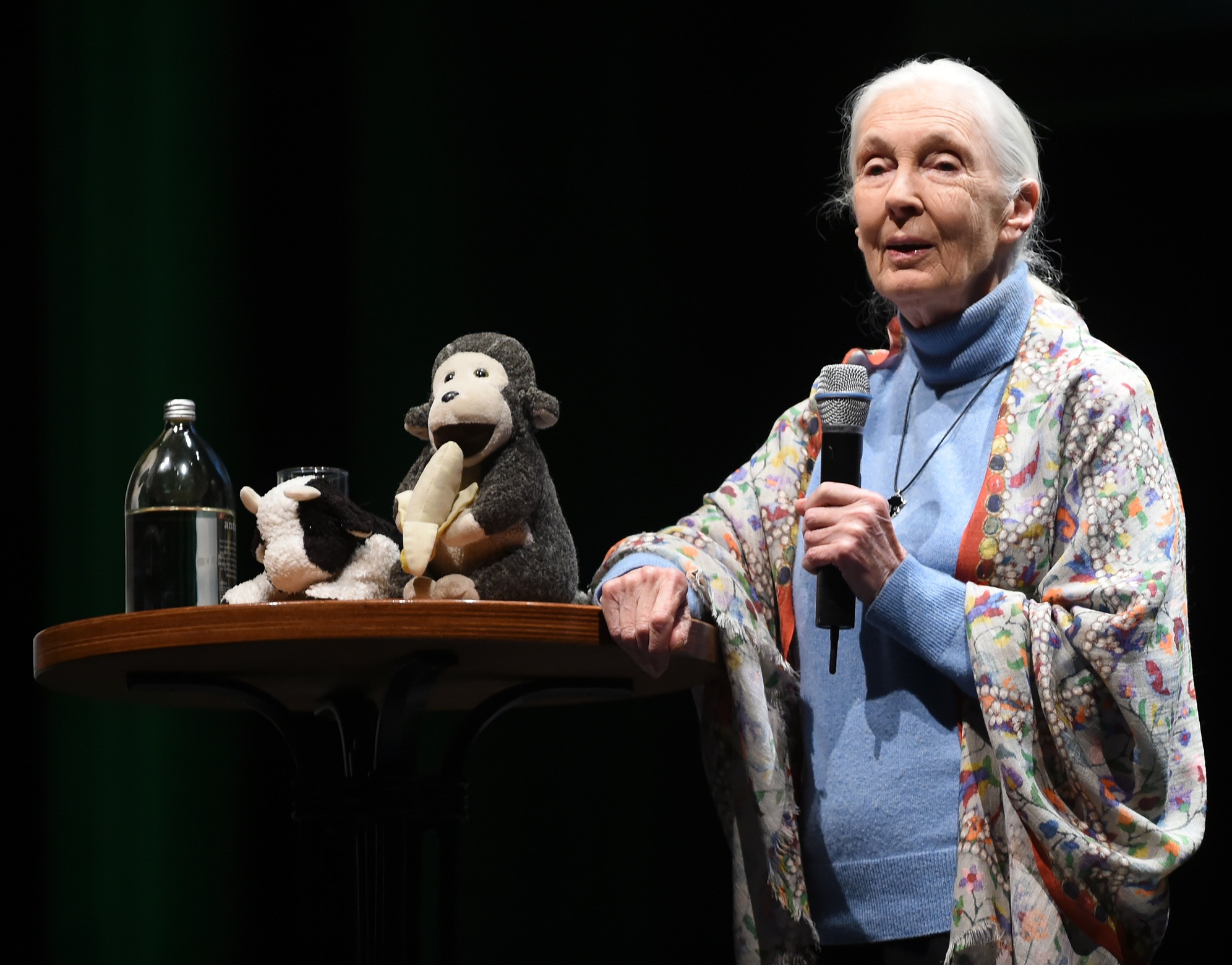 Jane Goodall speaks at the Regent, Dunedin, in 2017. Photo: Gregor Richardson
