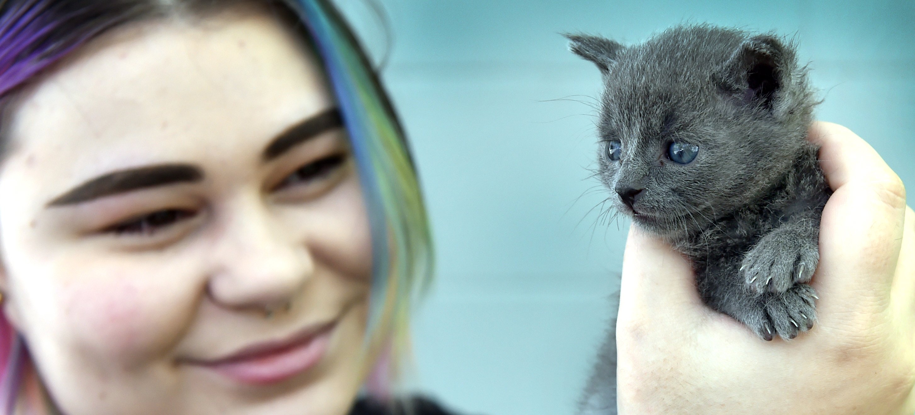 Foster parent Ayla Masson holds one-month-old kitten Eris, who she has been caring for since he...