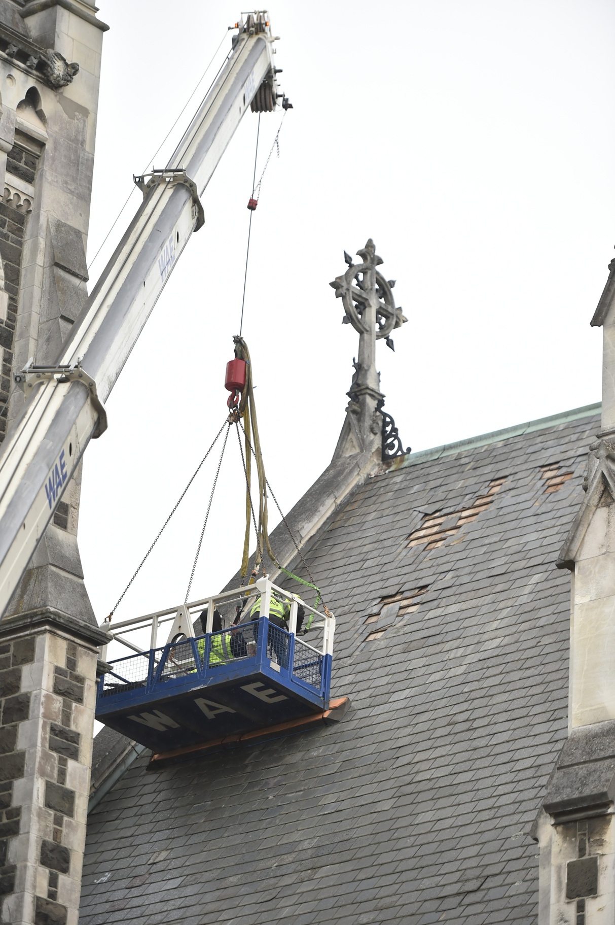 Photo: Peter McIntosh