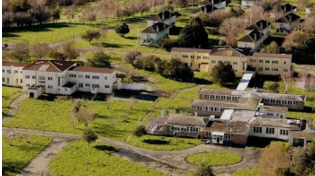 An inquiry found that many of the 362 children at the Lake Alice unit in the 1970s didn't have a...