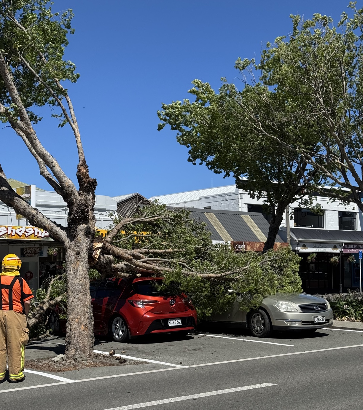 Photo: Andrew Ashton