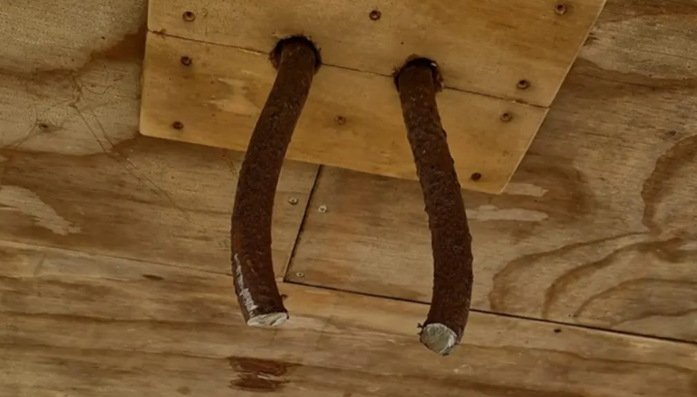 The Peace Bell was found to be missing on Tuesday morning. Photo: Auckland Council / supplied