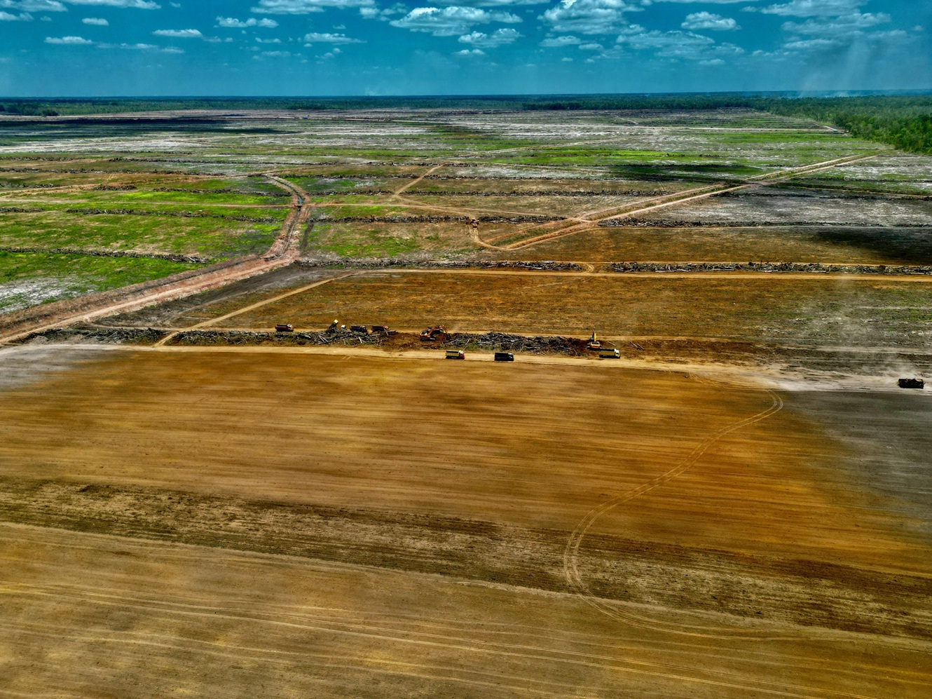 Freshly cleared forest in Jagebob, South Papua province, West Papua. The area is slated for...