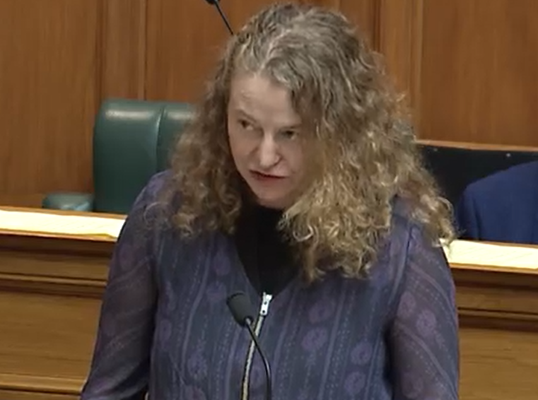 Dunedin MP Rachel Brooking during Question Time on Tuesday. Image: Parliament TV