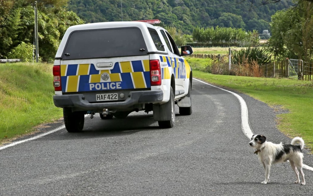 Police were called to the scene about 7.30pm on Friday. Photo: RNZ