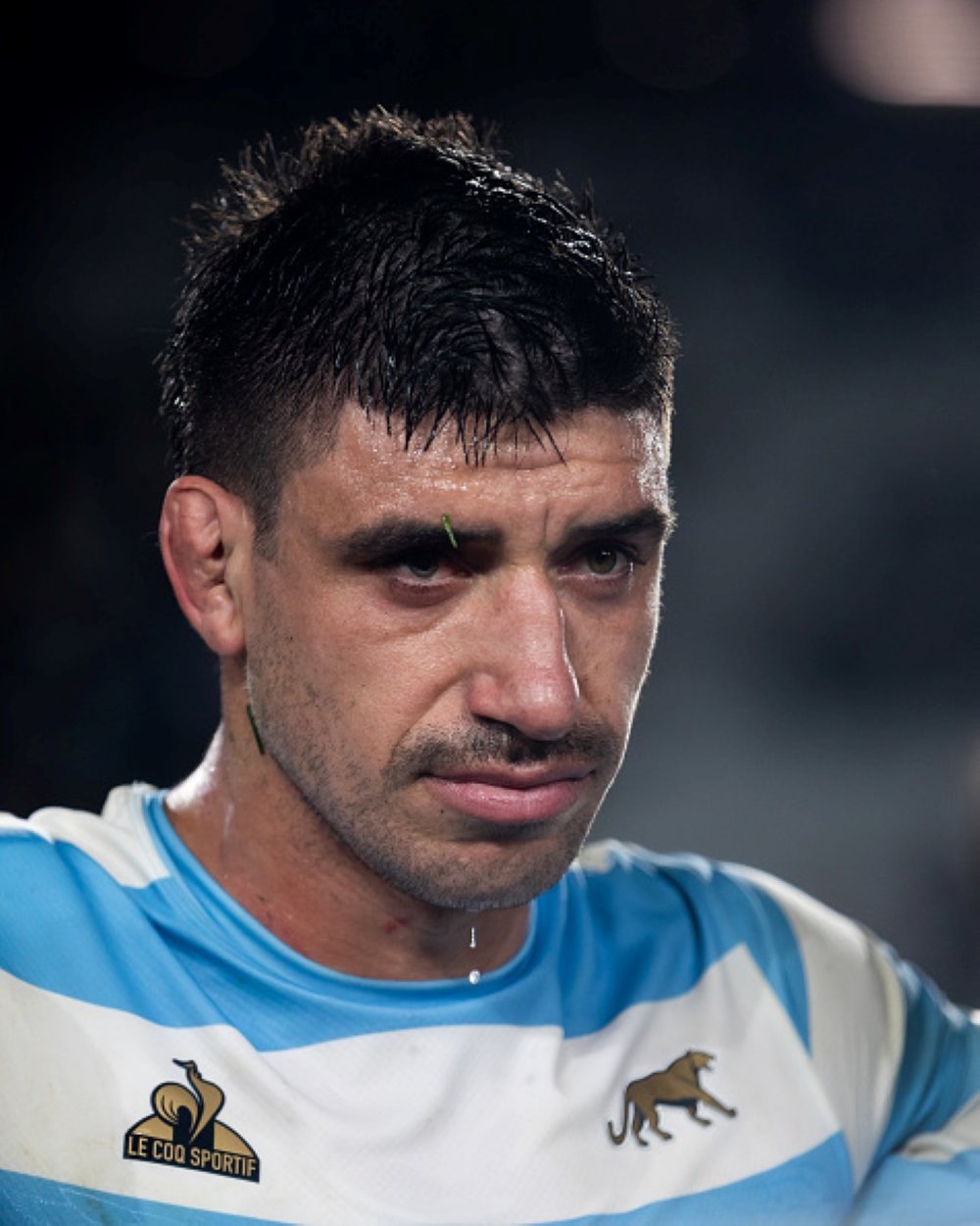 Tomas Lavanini. Photo: file