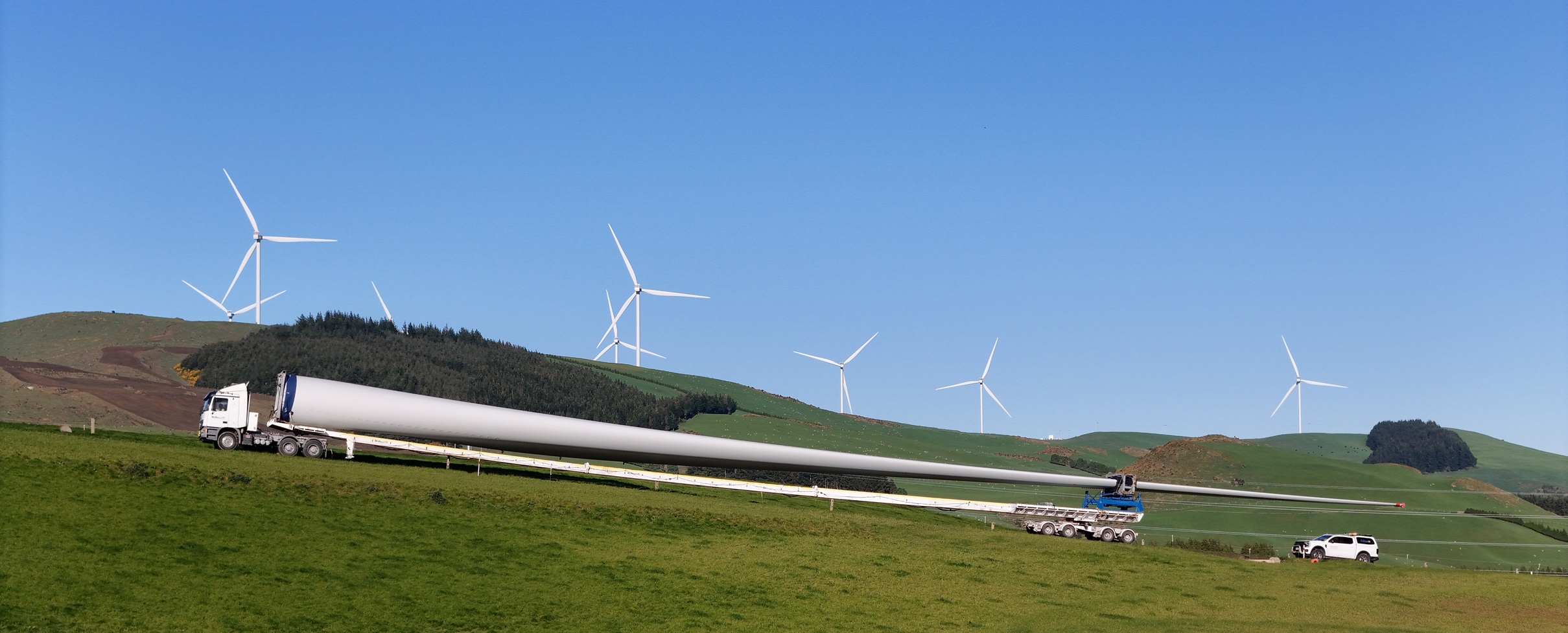 Photo: Stephen Jaquiery