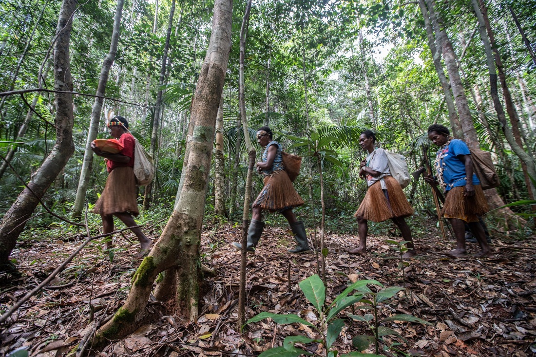 A group of Awyu women set off to hunt and gather food in Boven Digoel, West Papua. Photo:...