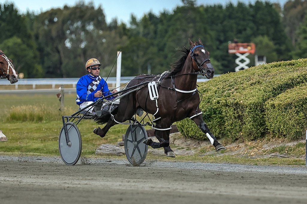 Matthew Williamson guides Always Dreaming to victory in the Gore Cup on Saturday. PHOTOS: MONICA...