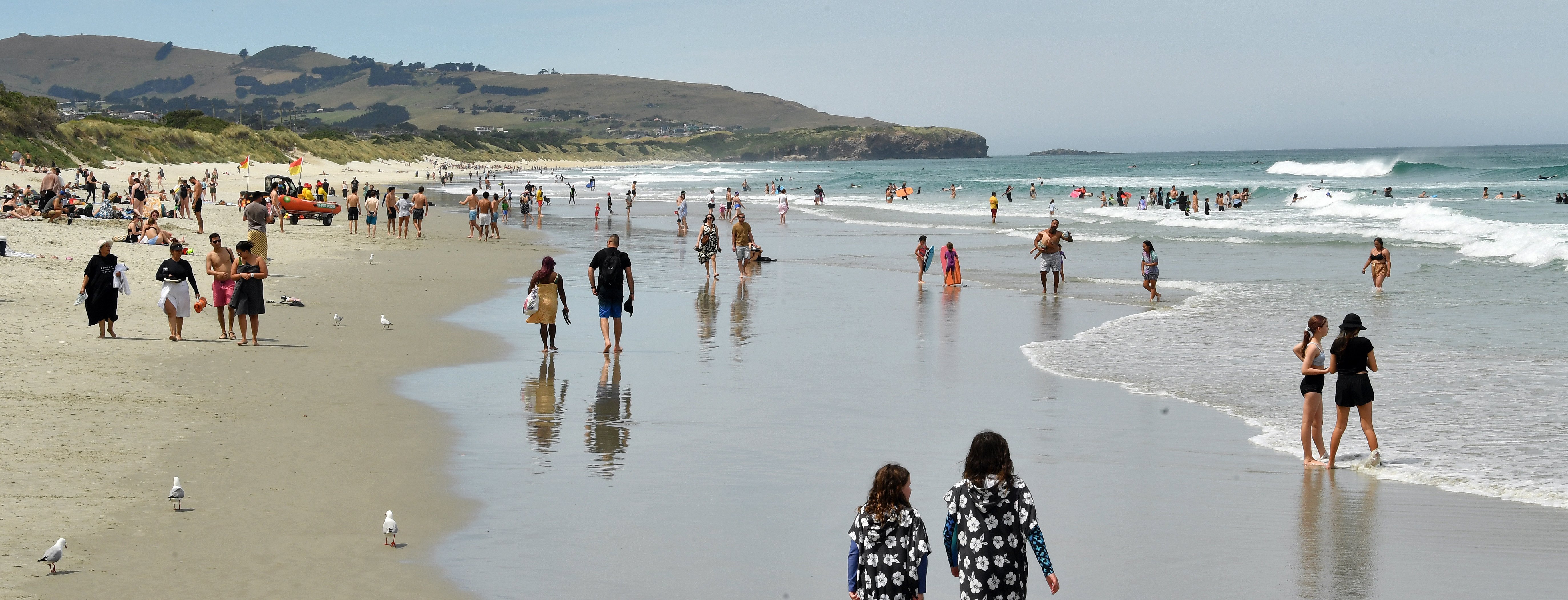 Endless summer days. PHOTO: STEPHEN JAQUIERY
