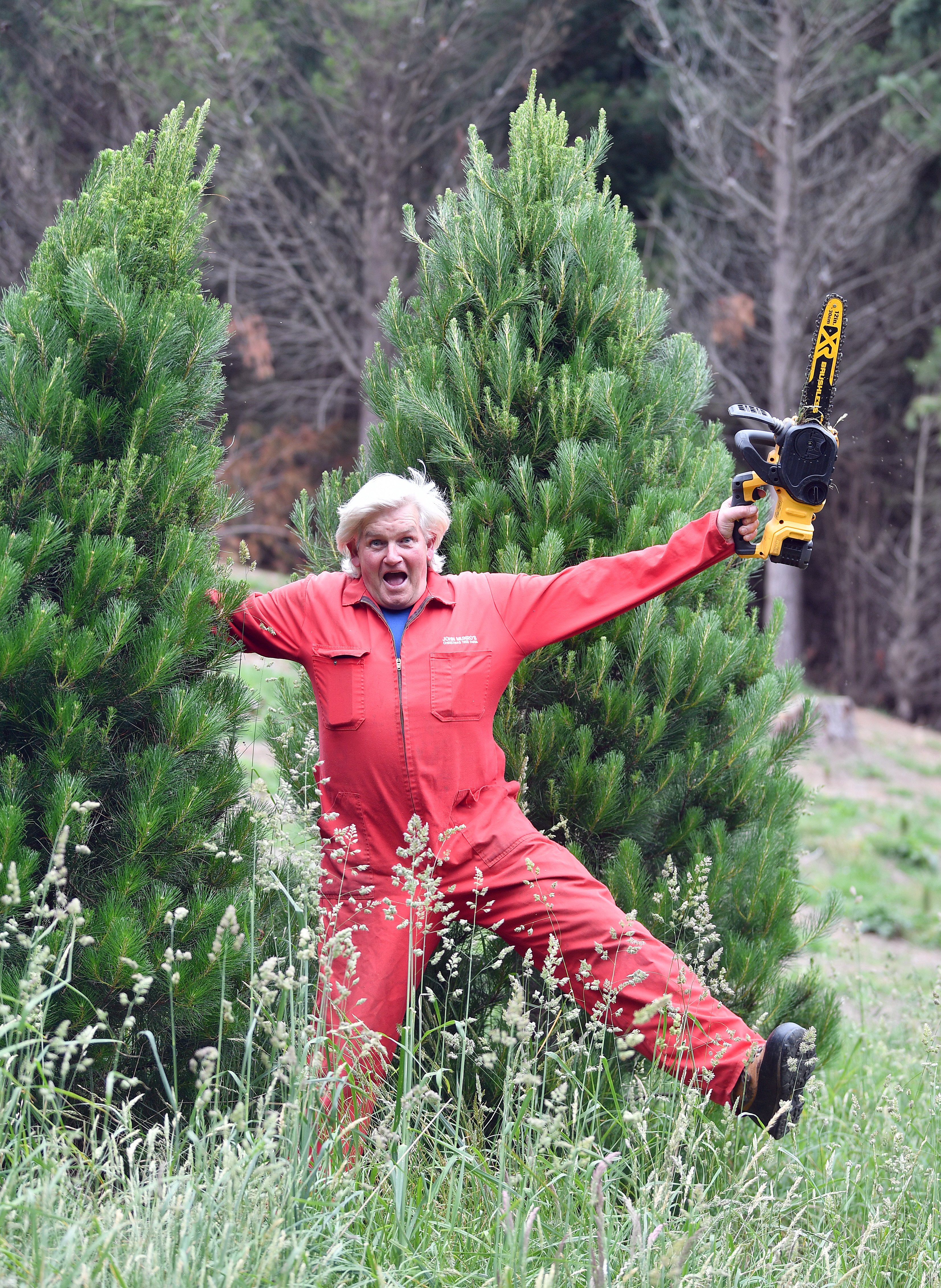 Christmas tree farmer John Munro only has a handful of trees left to sell this season and is...