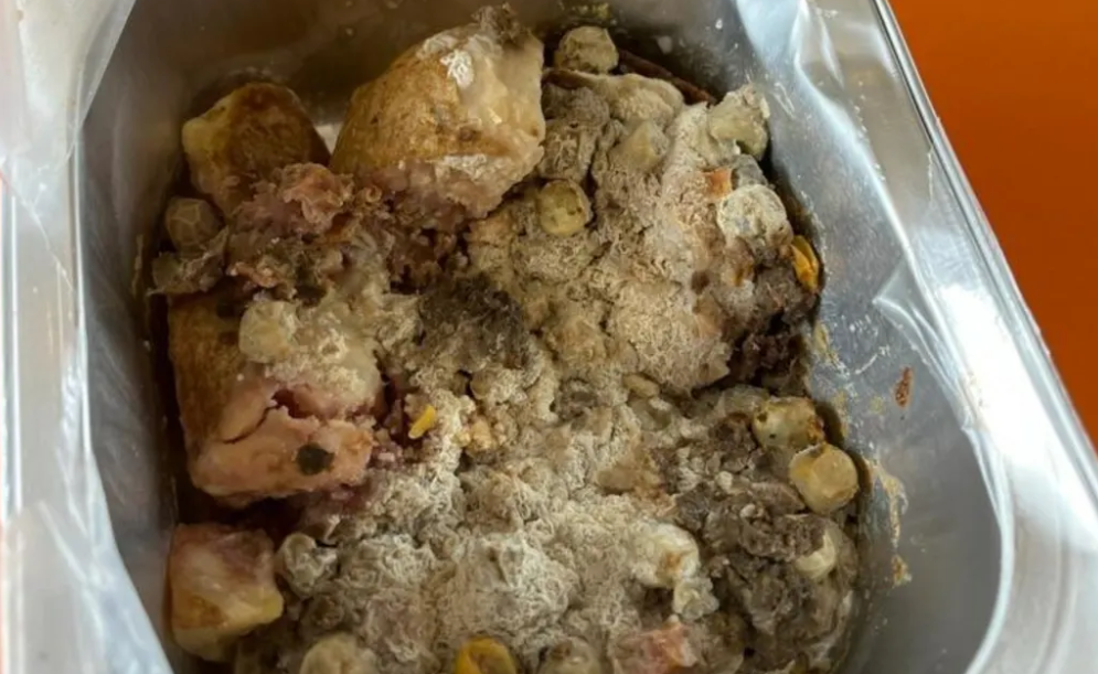 The rotten food served to students at Haeata Community Campus. Photo: Supplied / Haeata Community...