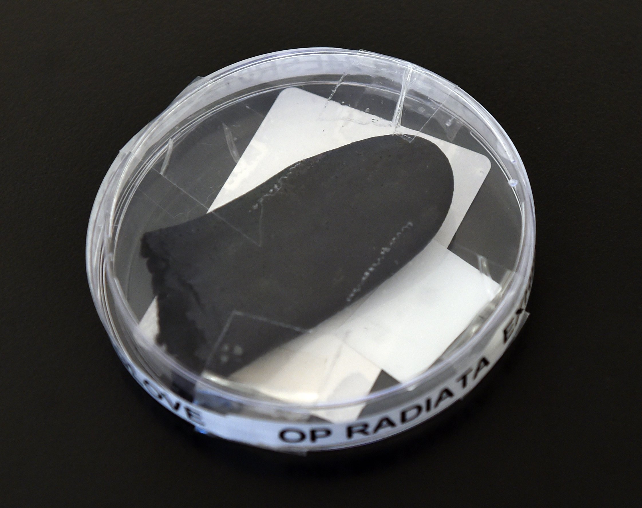 A thumb of a glove, matching a pair bought by Rajinder hours before the murder, was found at the...