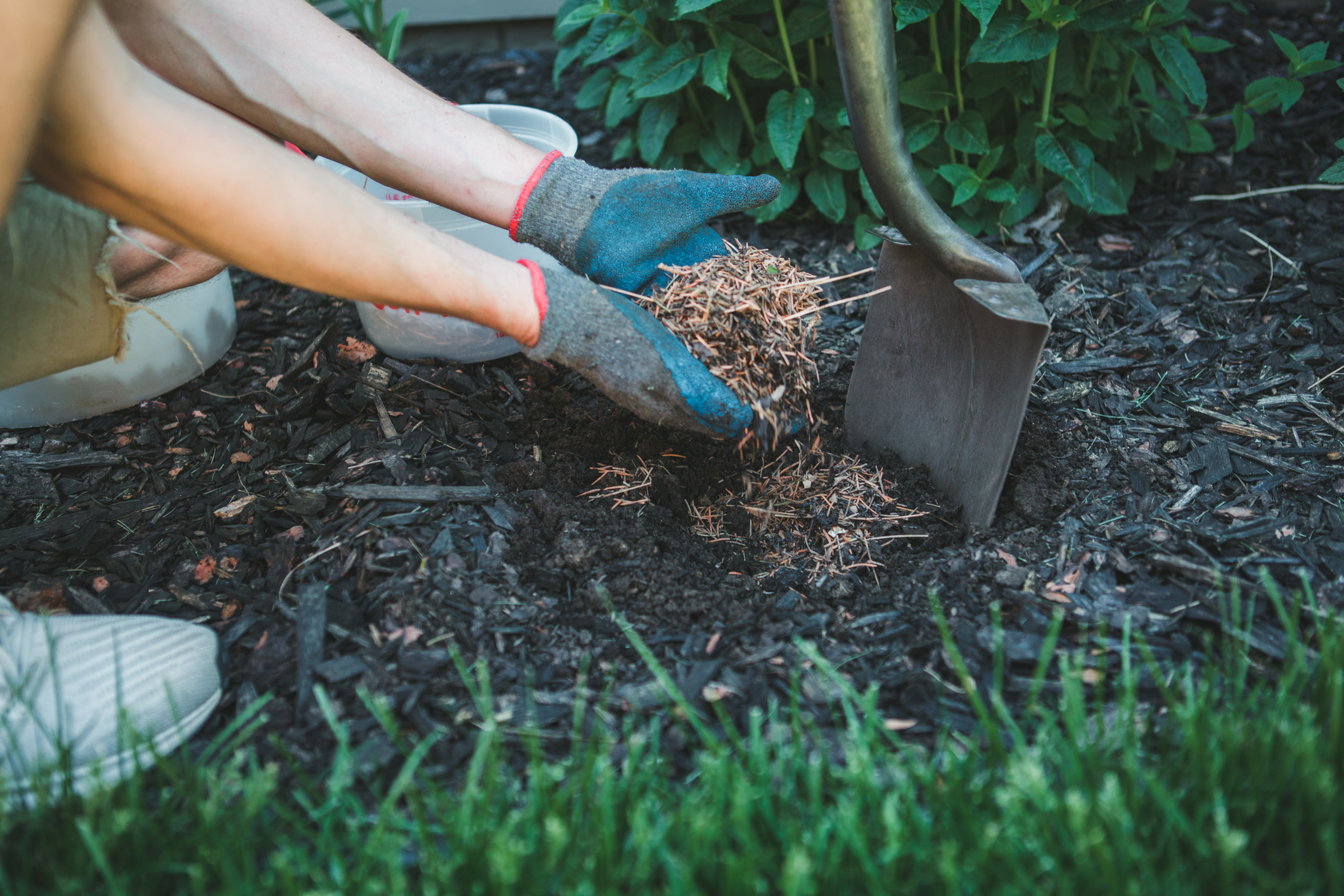 Putting mulch into a garden. PHOTO: GETTY IMAGES