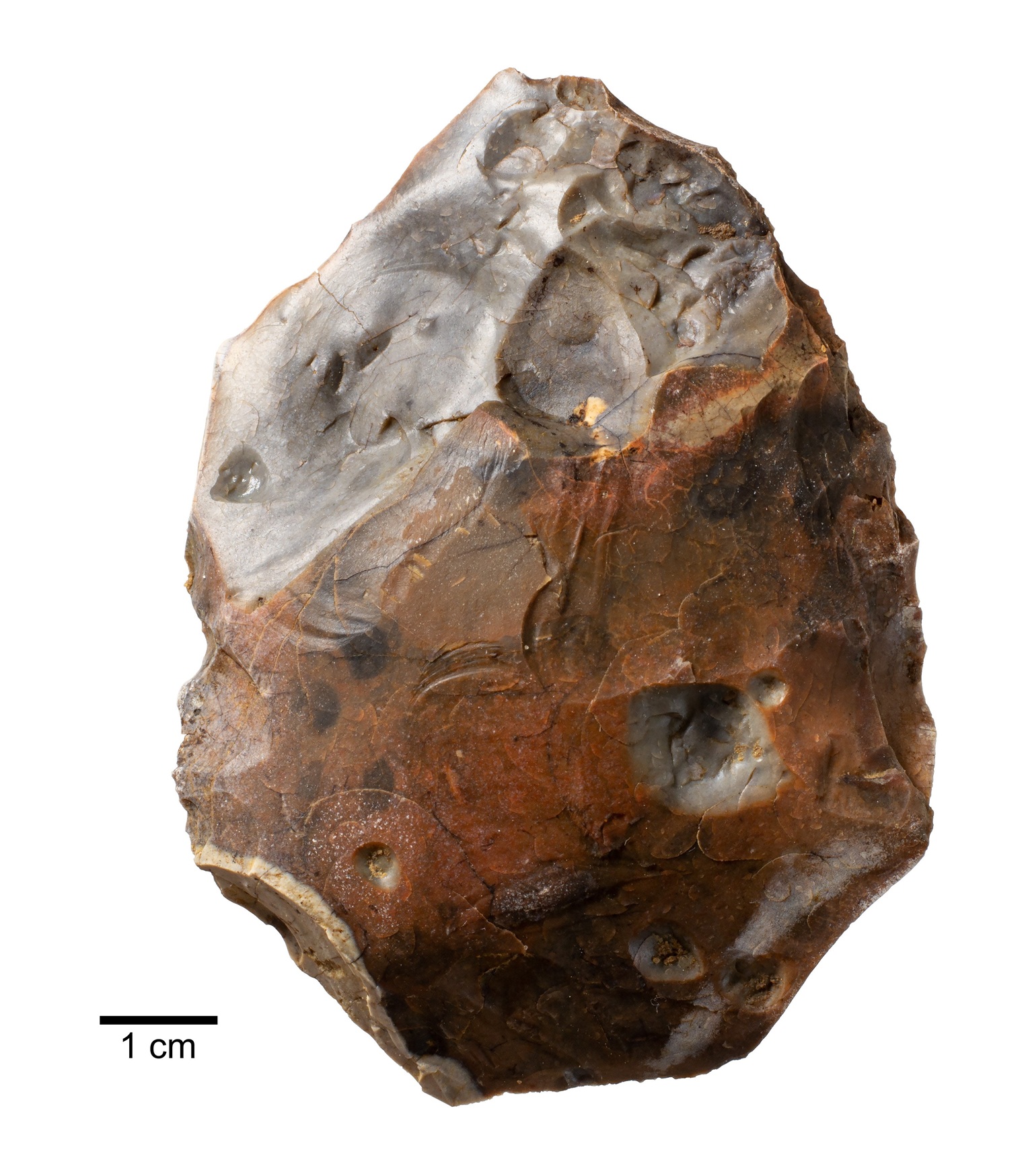 A heat-shattered handaxe found adjacent to a 400,000 year old campfire at Barnham. Photo: Jordan...
