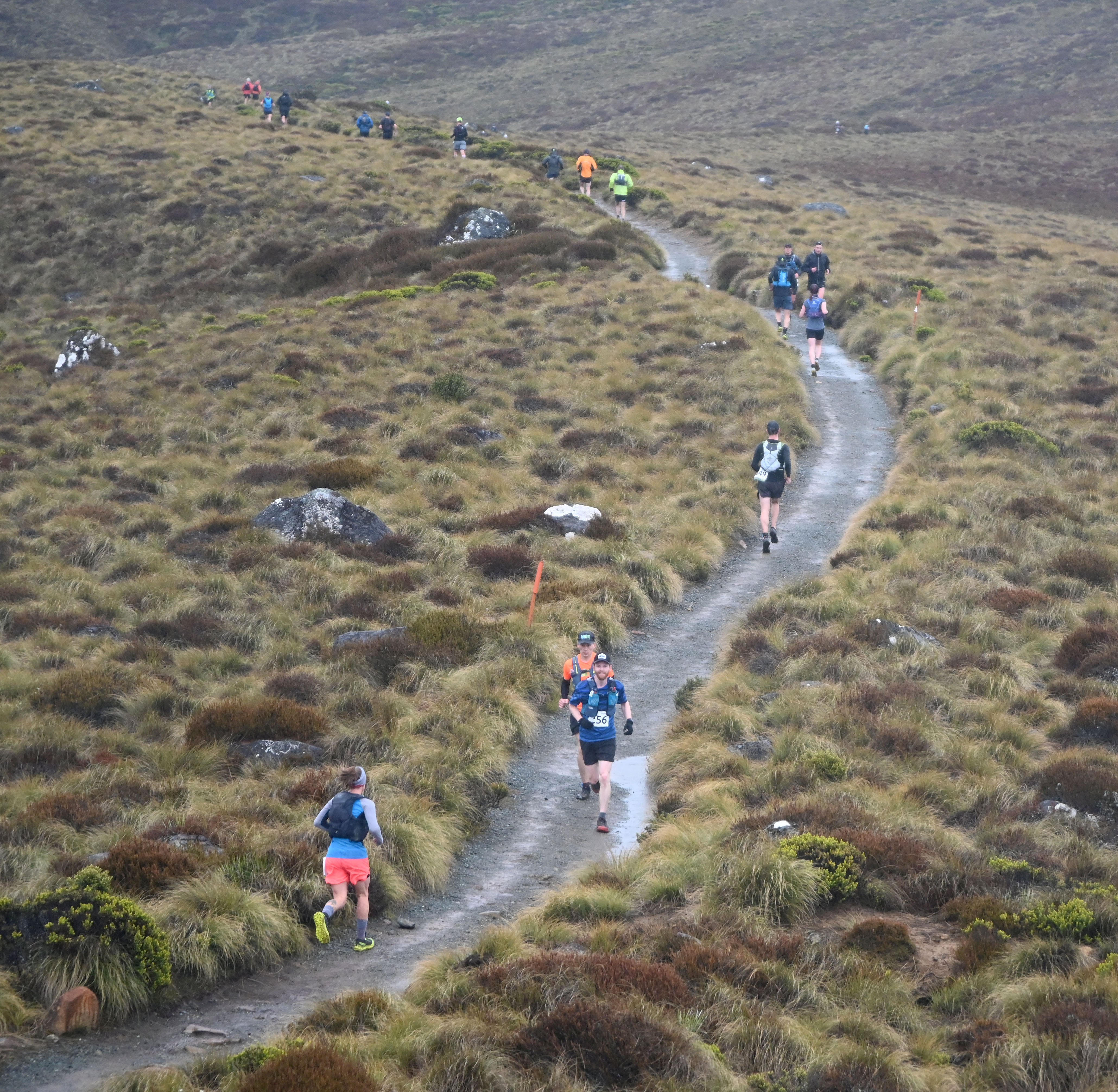 Runners in the 2020 Kepler Challenge. PHOTO: ODT FILES