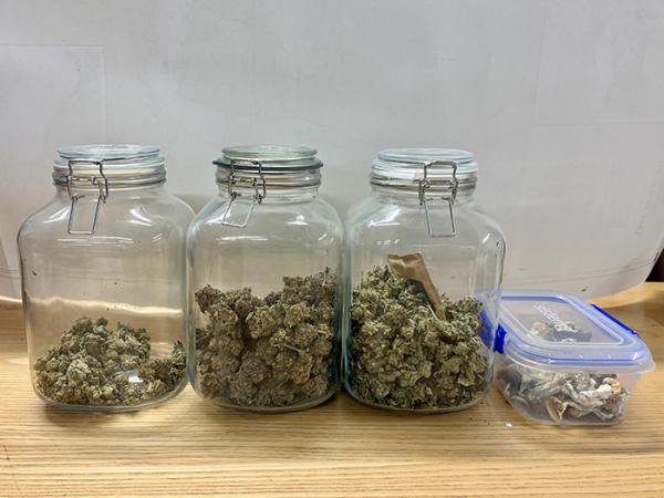 Cannabis and magic mushrooms were seized by officers. PHOTO: NZ POLICE
