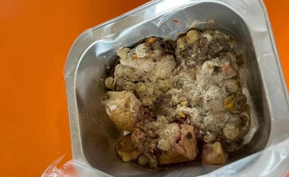 One of the meals that was served up to students on Monday. Photo: Supplied / Haeata Community Campus