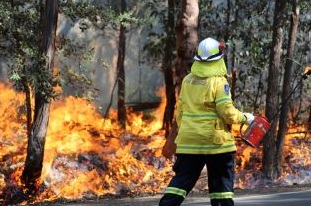 Severe heatwave conditions are fuelling the risk of bushfires in New South Wales. File photo
