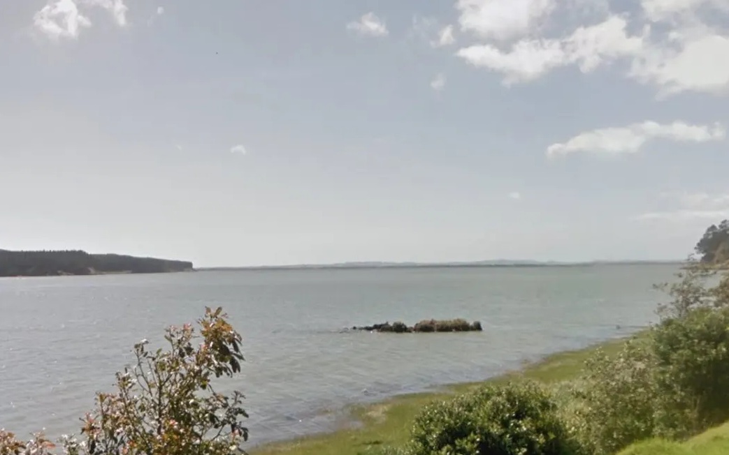 Port Waikato. File photo: Google Maps