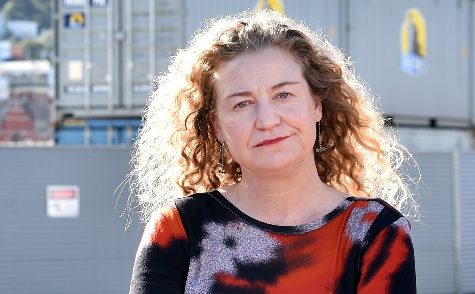 Dunedin MP Rachel Brooking. Photo: Peter McIntosh (file) 