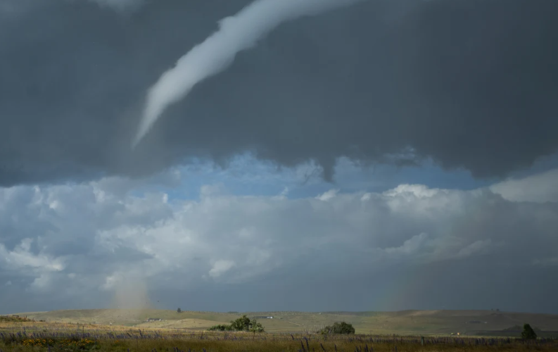 Photo: File image / RNZ / Connor Diver
