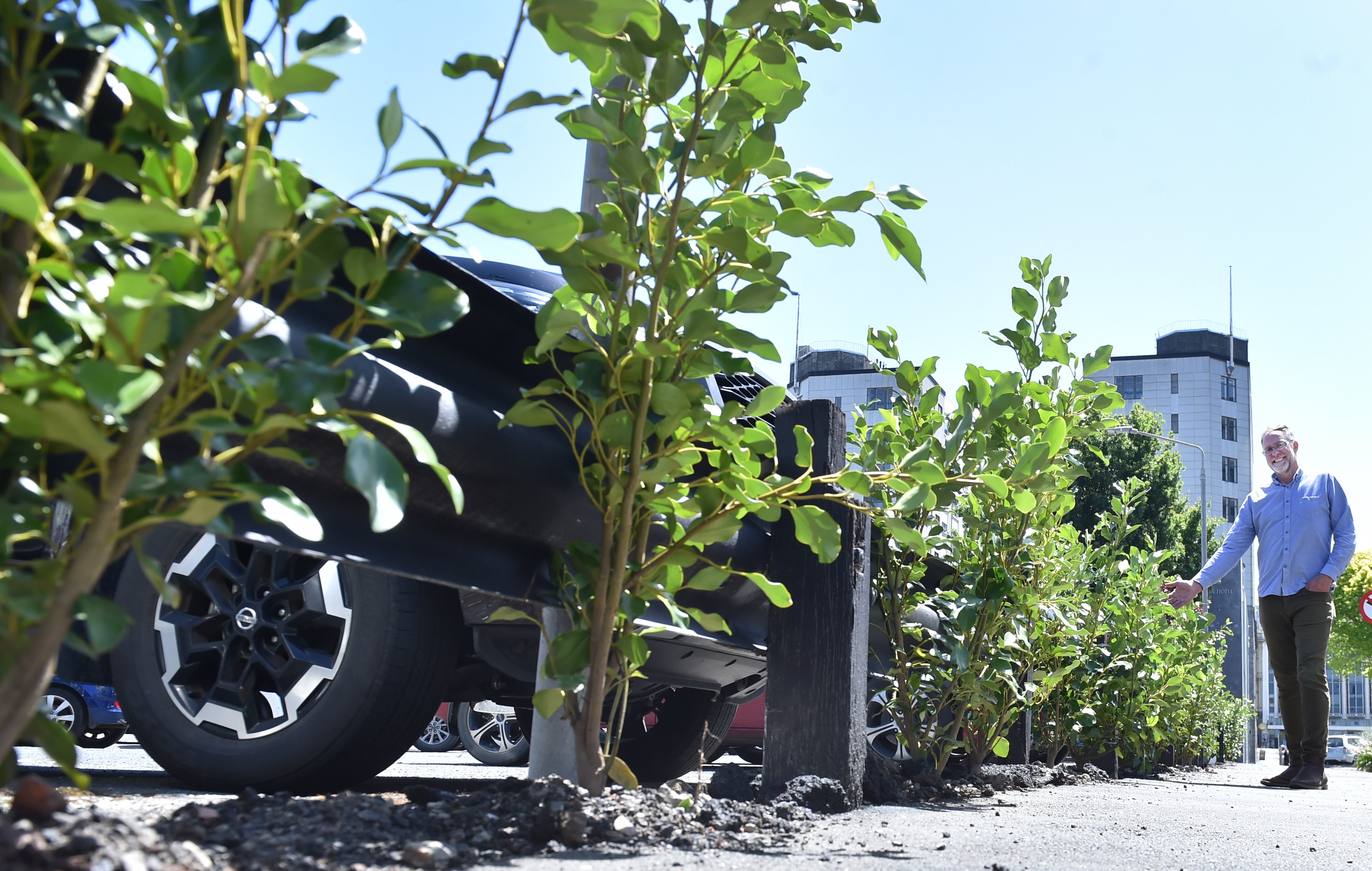 Guerrilla gardener Steve Macknight stands in front of trees he has planted in Water St after...