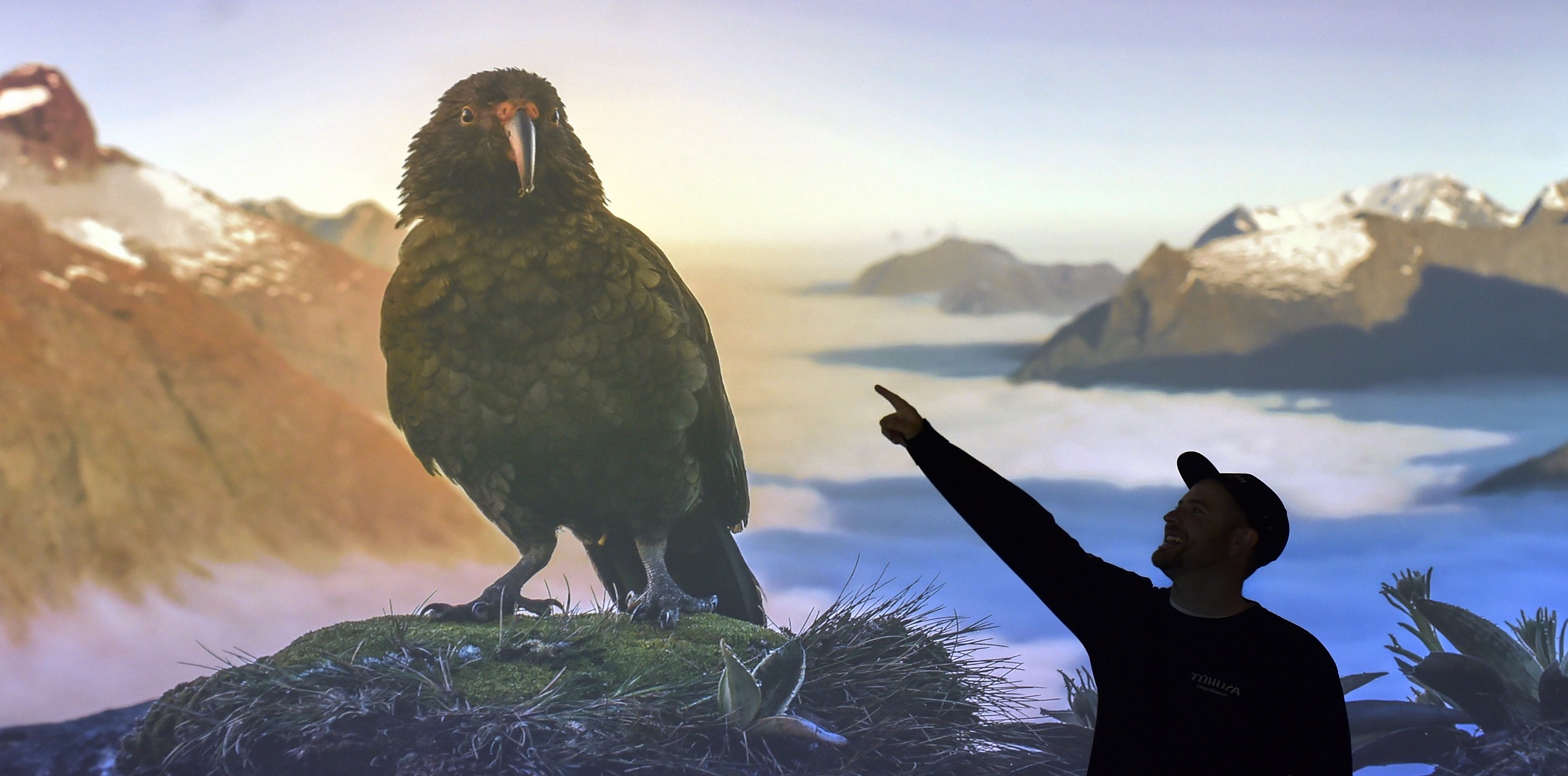 Tūhura Otago Museum marketing manager Charlie Buchan admires a photo of a Kea, by Giles Bryant,...
