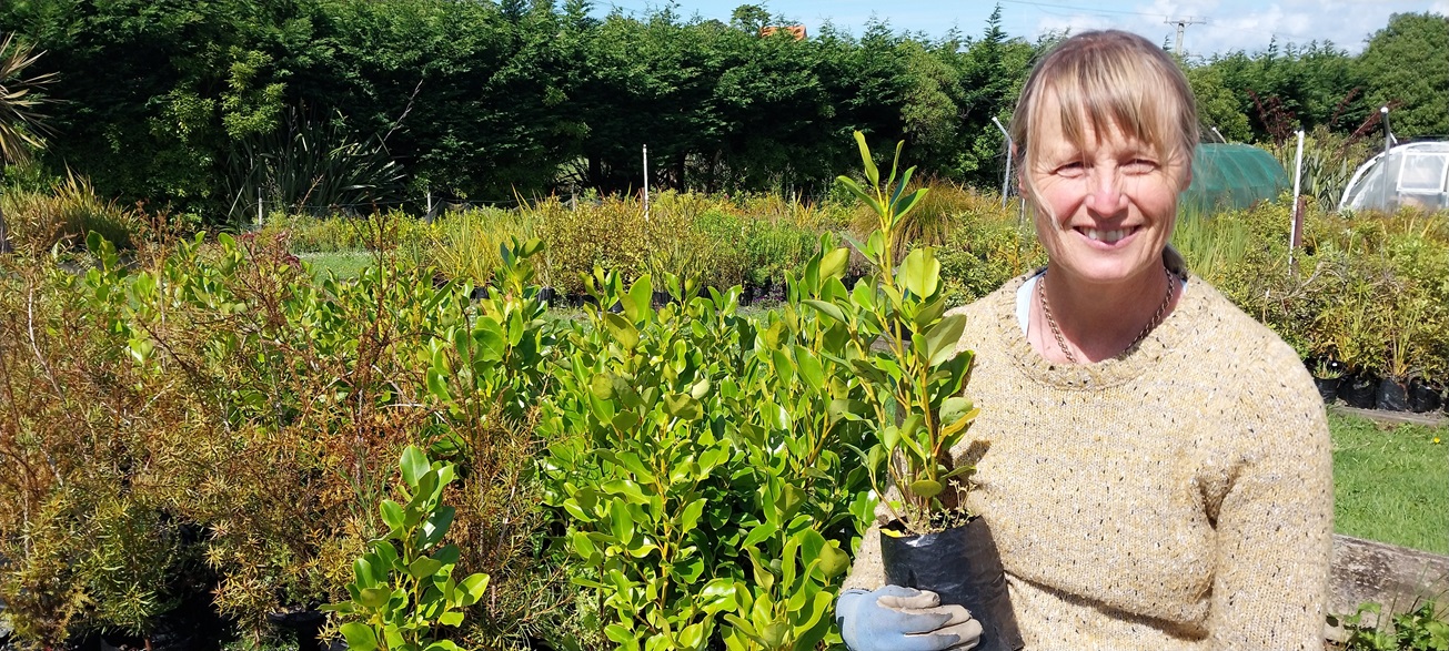 Yellow-eyed Penguin Trust native plant nursery supervisor Louise Ashton among seedlings on Otago...