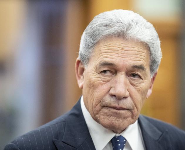 Deputy Pm Winston Peters. File photo