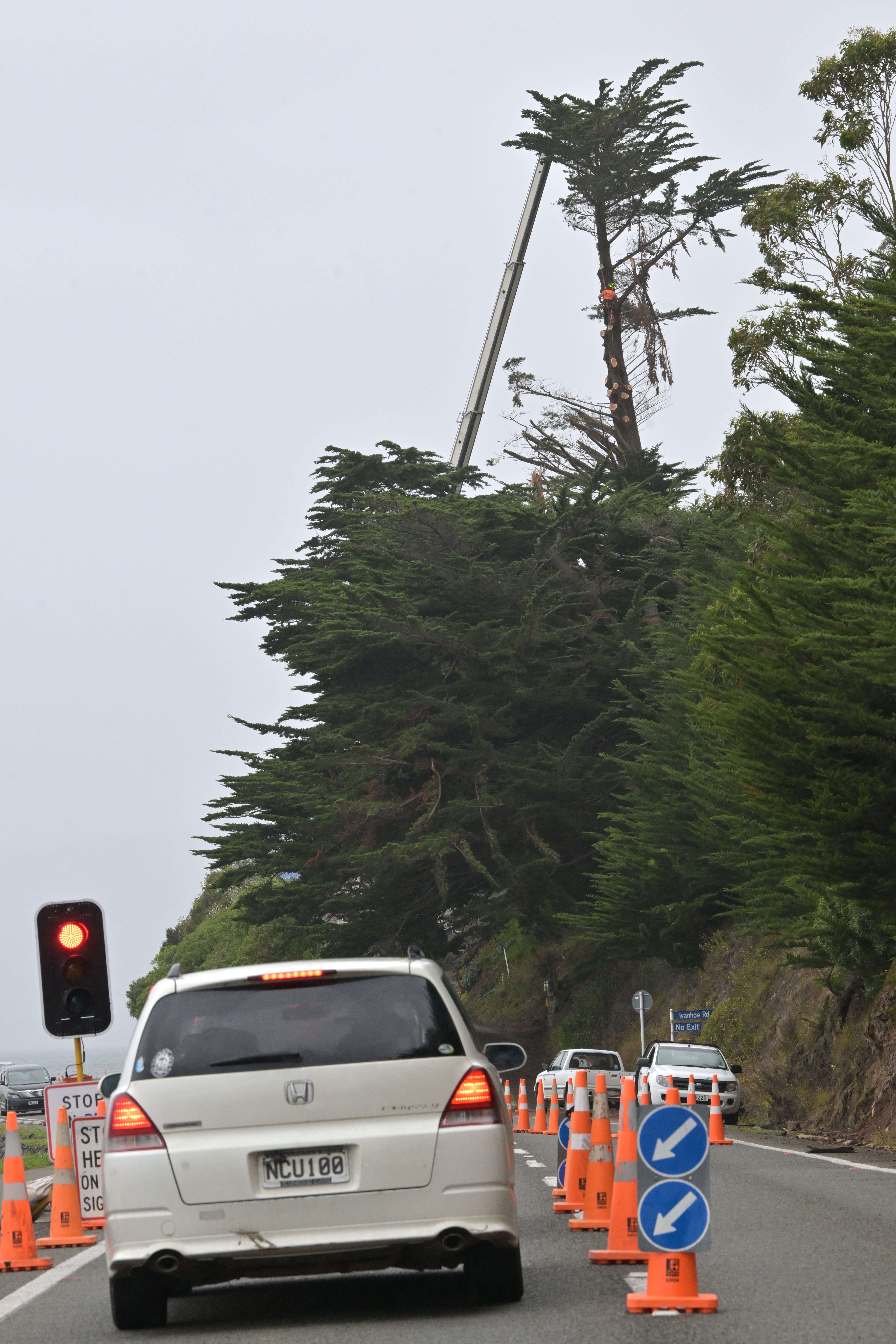 PHOTO: GERARD O’BRIEN