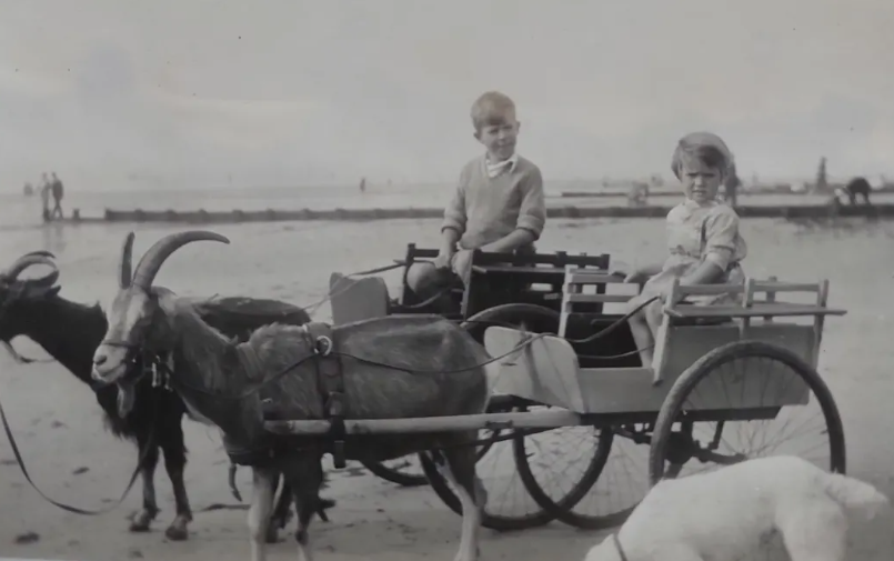 Marjorie's children John and Biddy and their beloved dog. Photo: Supplied