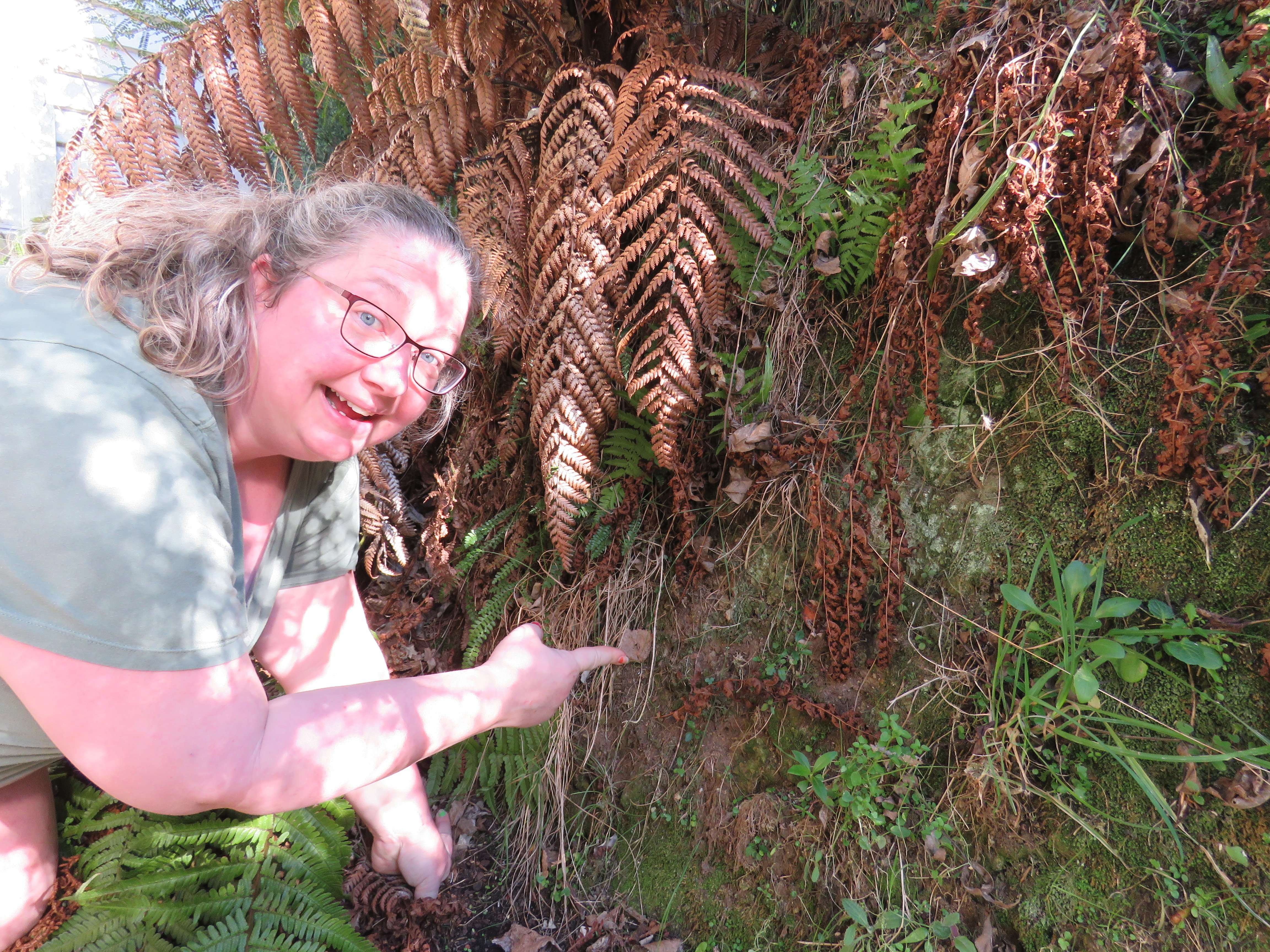 Jenny Jandt’s bare bank presents a suitable home for burrowing solitary native bee species. PHOTO...