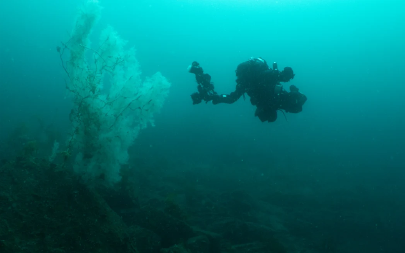 Photo: Supplied / James Bell