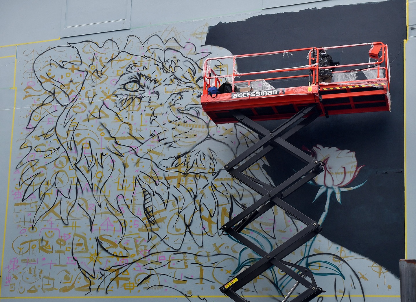 The latest mural on the Mansfield Apartments building, at the corner of Bond and Liverpool Sts,...