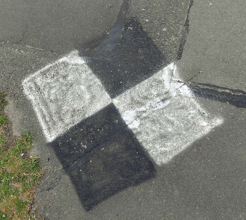 Photo: Stephen Jaquiery