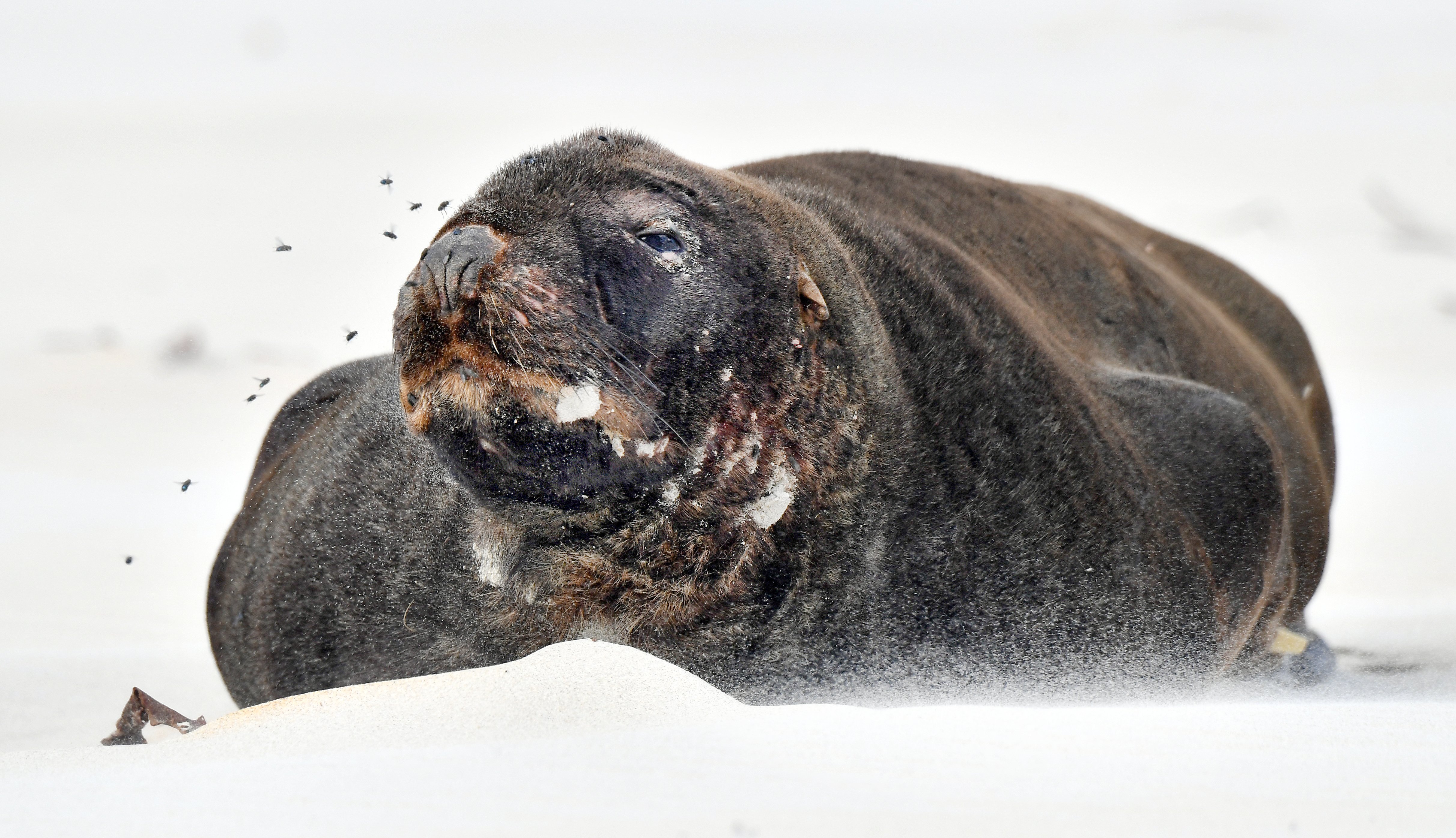  PHOTO: STEPHEN JAQUIERY