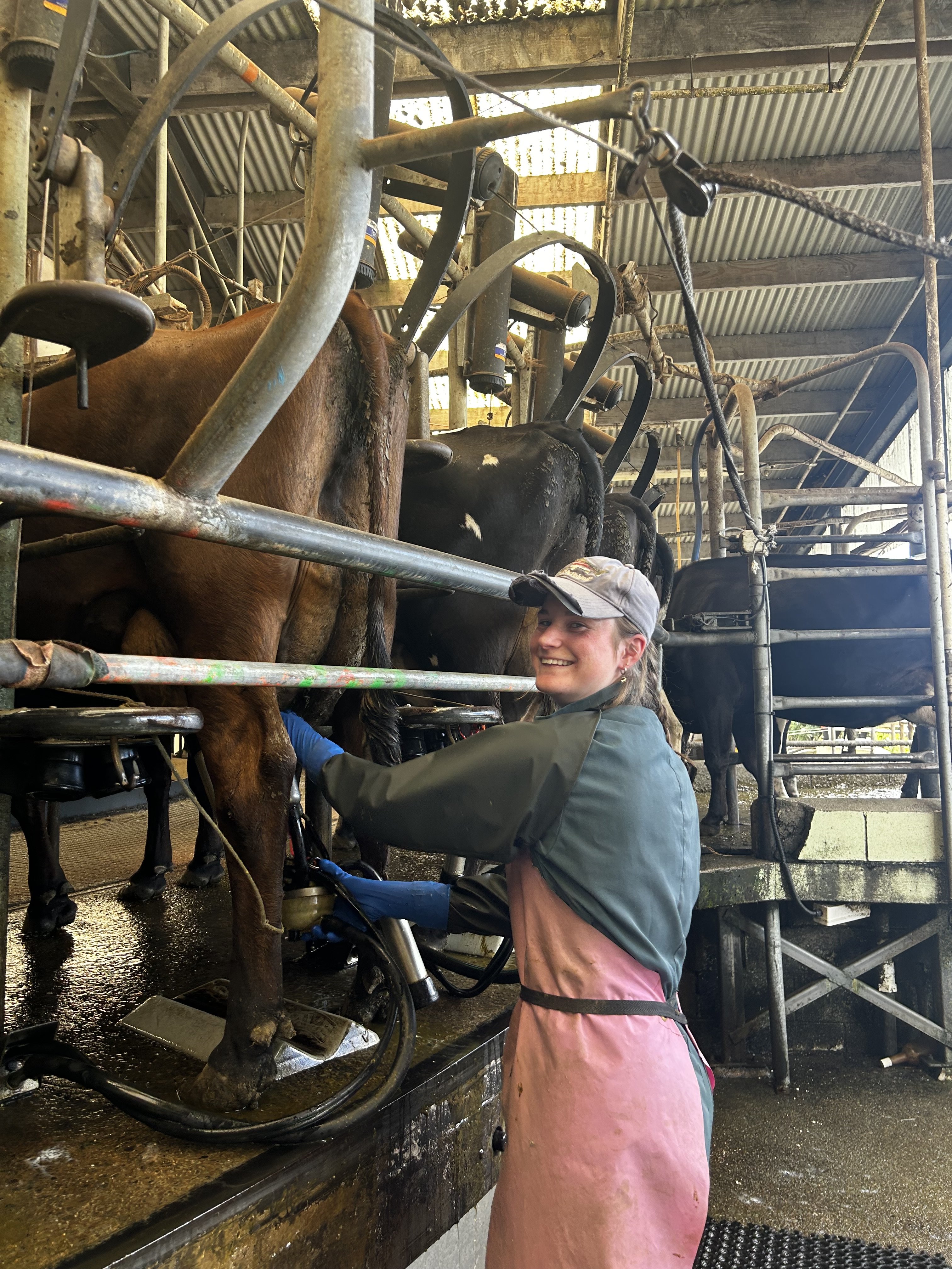 For the past two years Tessa Cubitt who has recently won an Alliance Group’s family member’s...