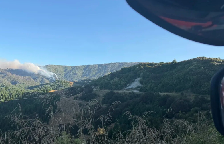 A fire in Hawke's Bay, January 2026. Photo: Hawke's Bay - Fire and Emergency via RNZ