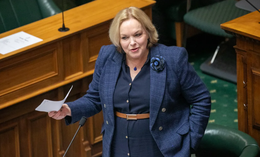 National MP Judith Collins in the House. Photo: VNP/Louis Collins