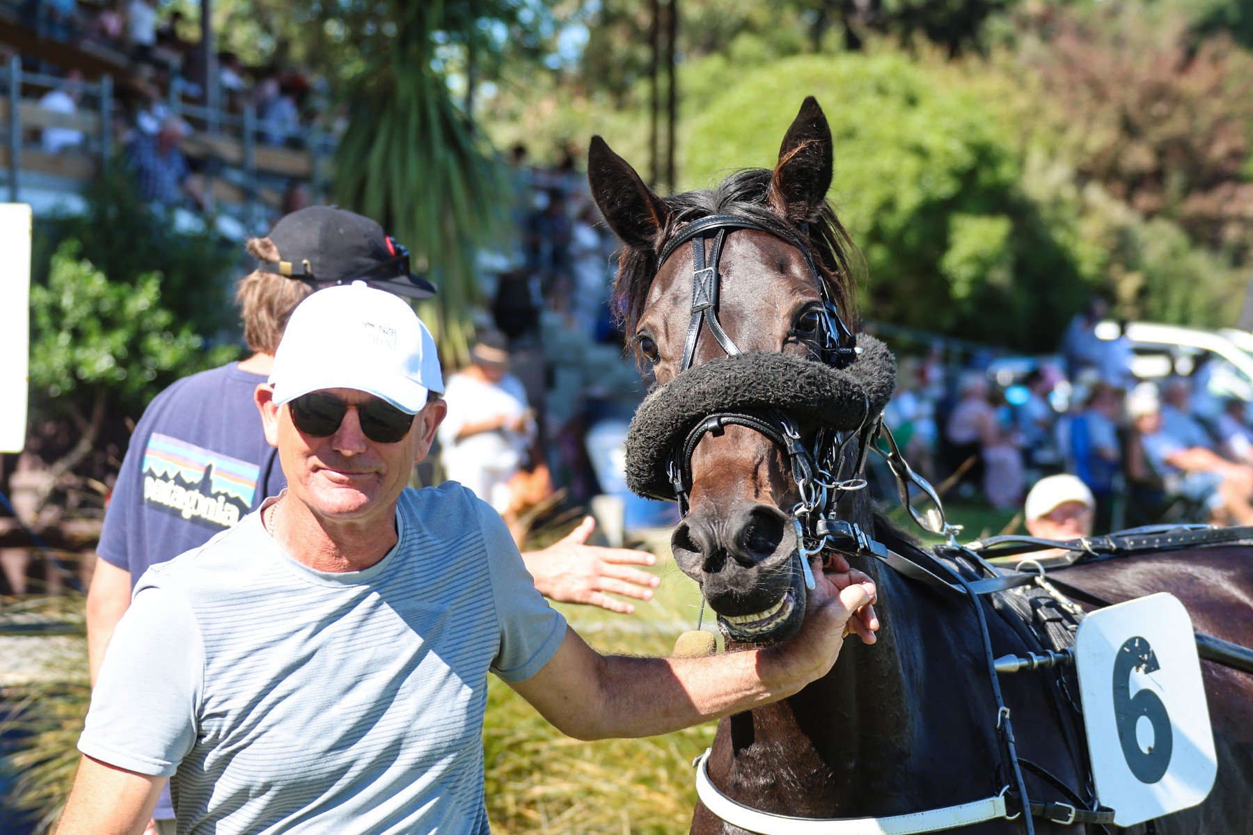 Trainer Michael House and son Wilson (below) have started the new harness year on a high. Photos:...
