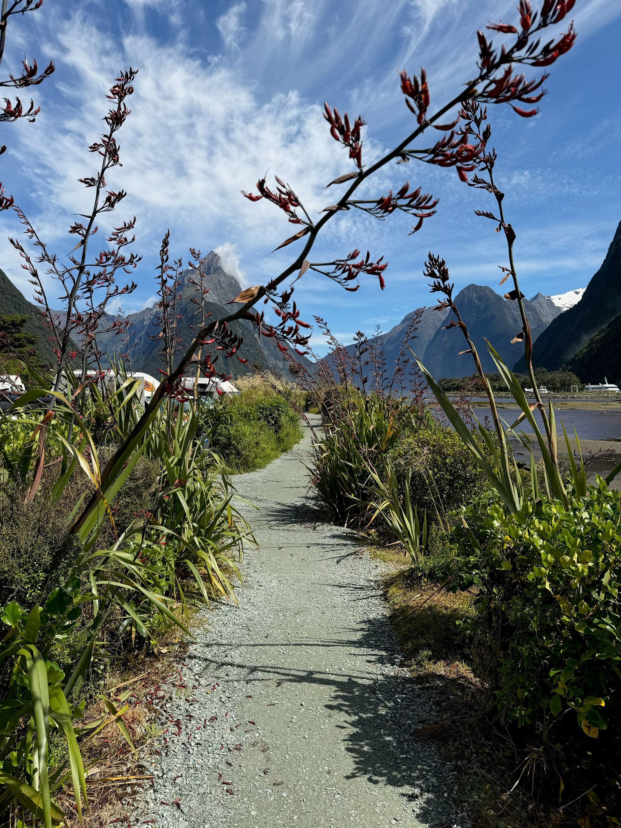 Overgrown tracks in Milford Sound village are being cleared by locals. PHOTO: SUPPLIED