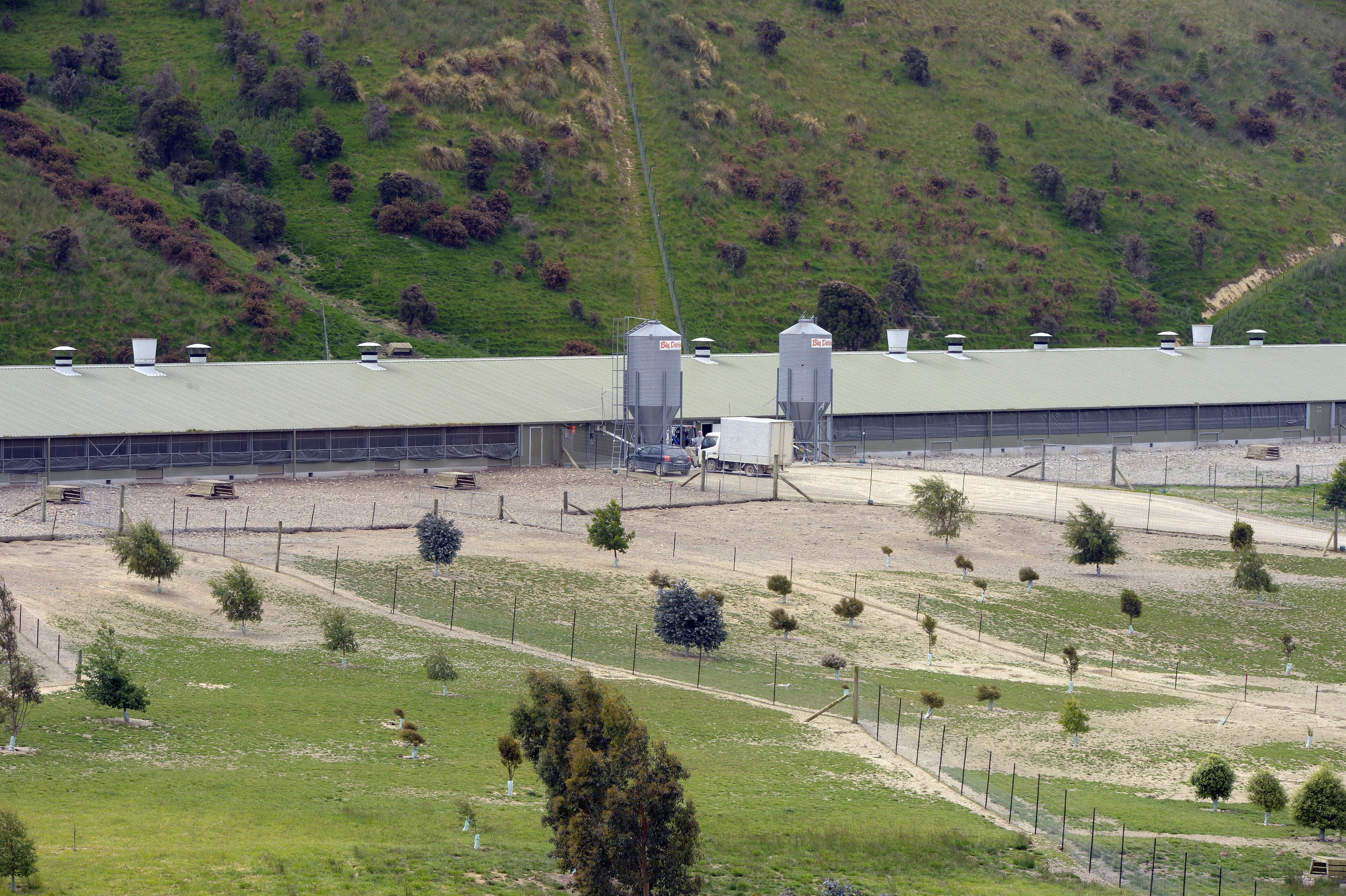 The Moeraki commercial poultry farm at the centre of an avian Influenza outbreak in 2024. PHOTO:...