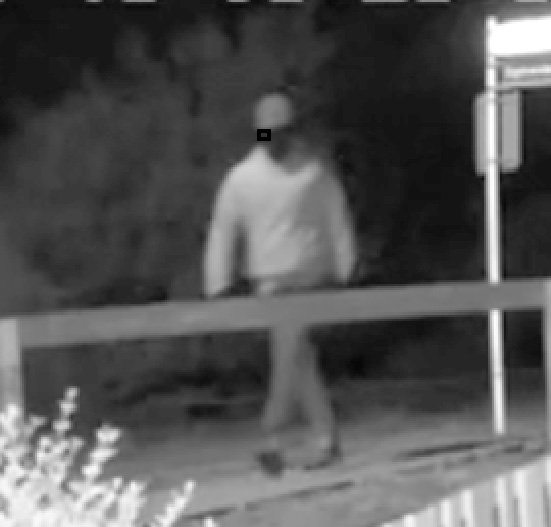 Do you recognise this man? PHOTO: SCREENSHOT