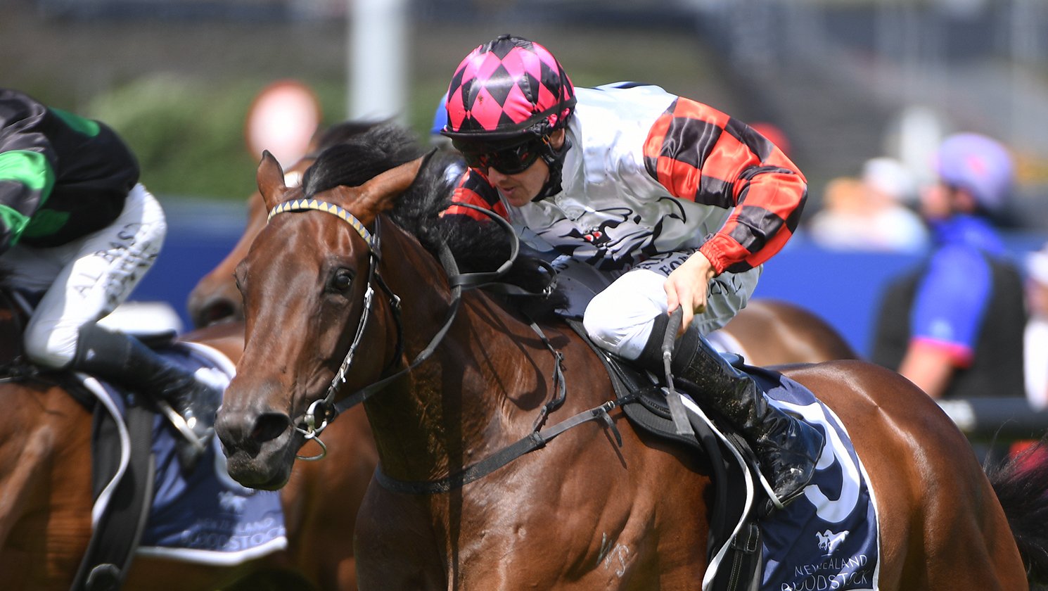 Ohope Wins claims the group Sir Patrick Hogan Stakes (2000m) at Ellerslie yesterday. PHOTO:...