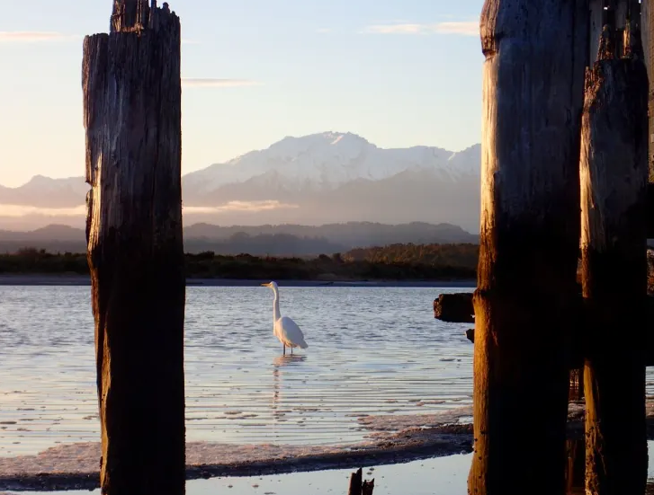 Ōkārito lagoon. Photo: Barry Hughes /supplied 