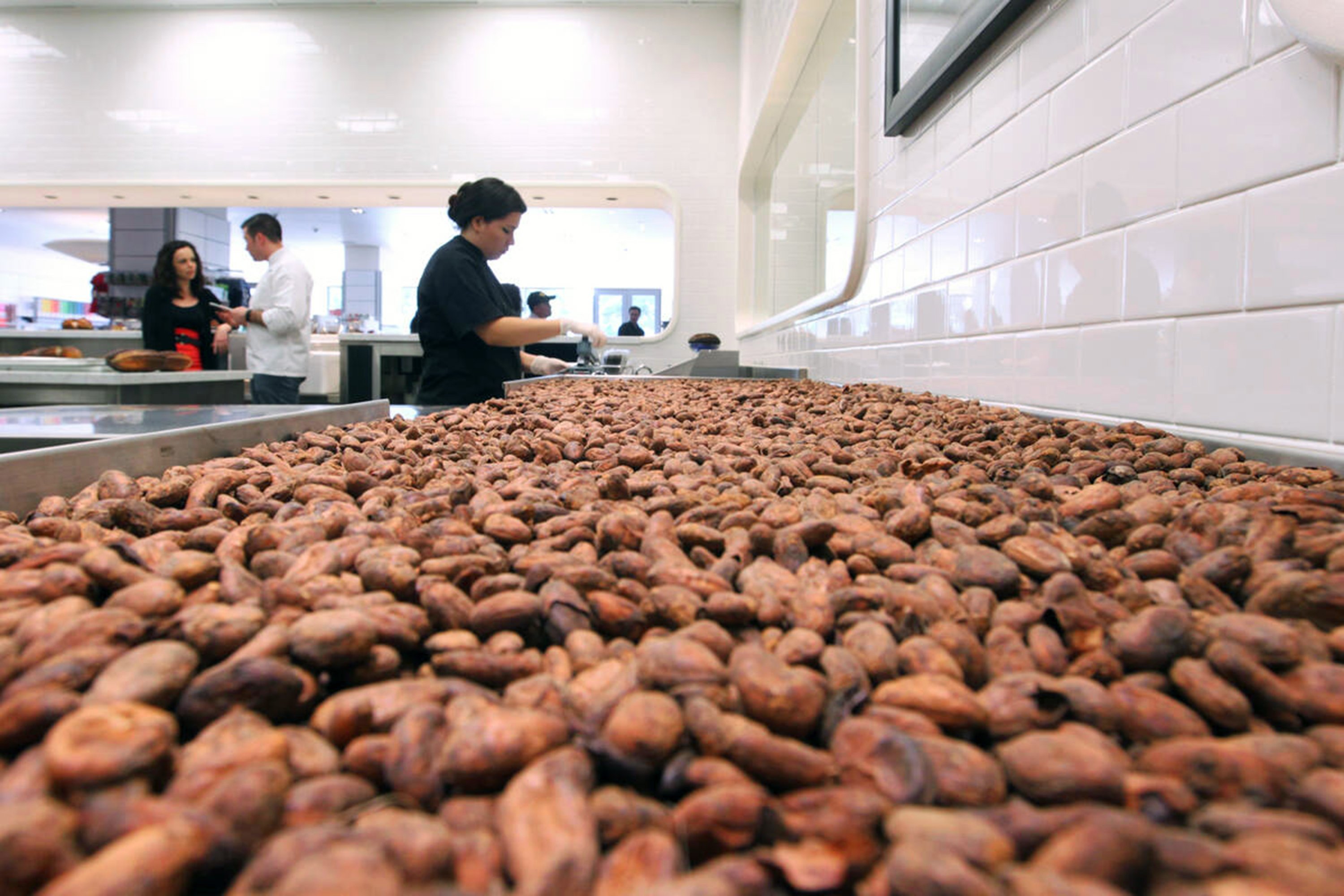 Chocolate being packaged by a table of cocoa beans. PHOTO: TNS