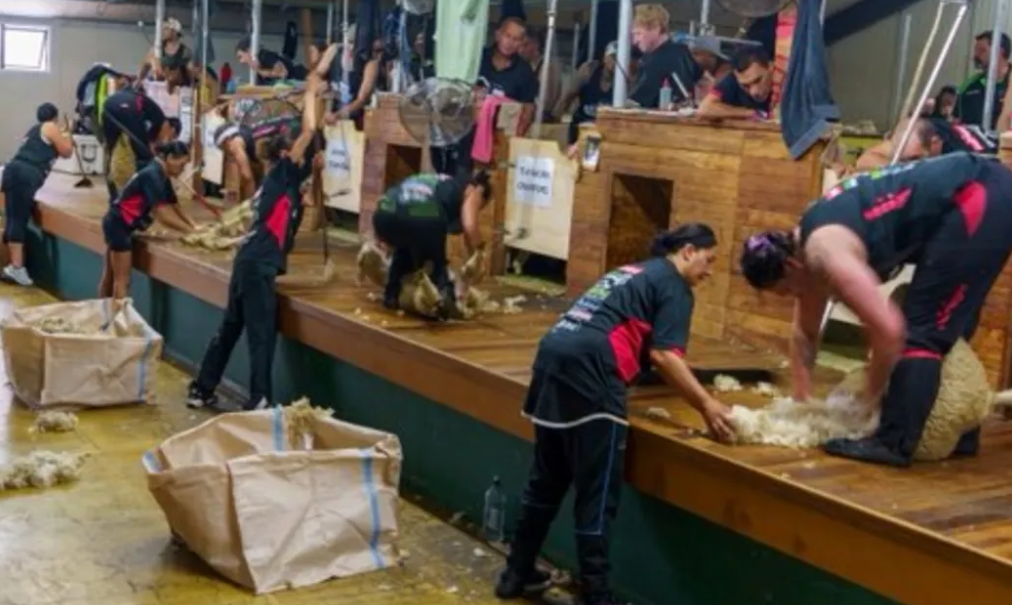 Rose Lewis, Ariana 'Missy' Te Whata, Te Atakura Crawford and Pagan Rimene established a new world...